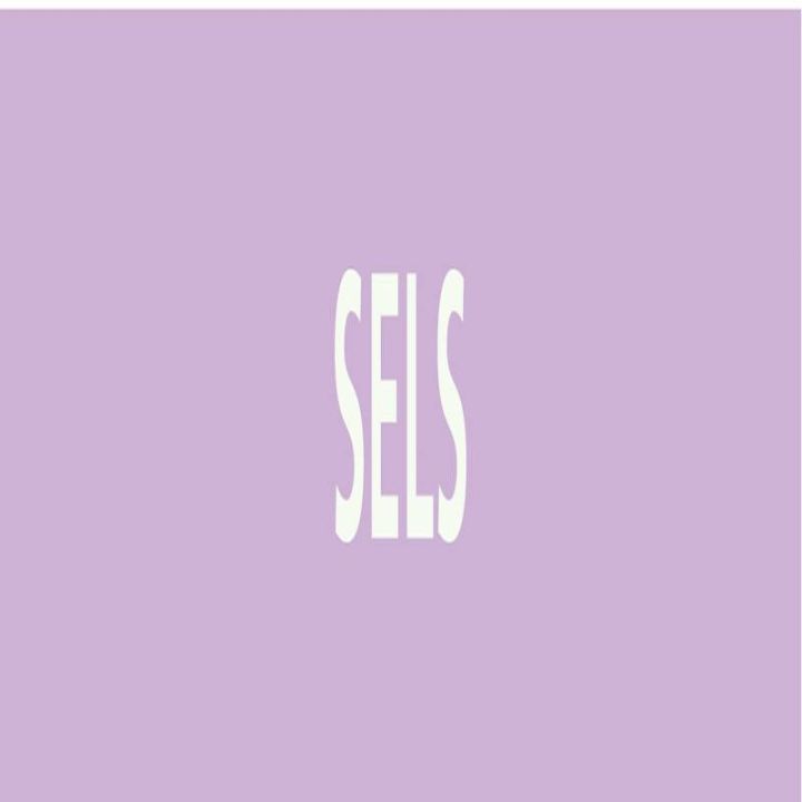 Panneau SELS 222X37 MARQUAGE TUYAUTERI Taliaplast 731742
