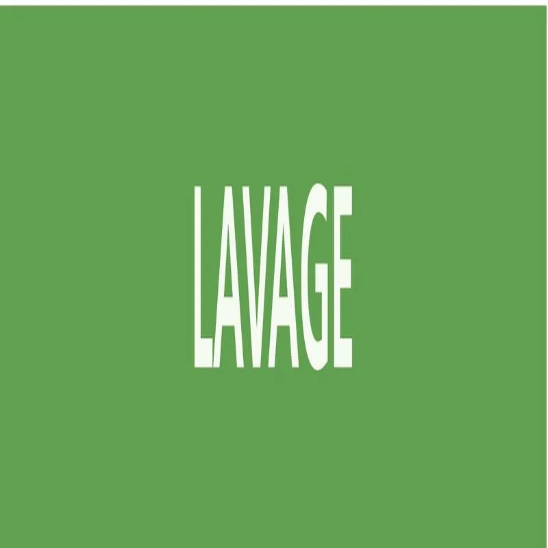 Panneau LAVAGE 222x37mm (20 ADHESIFS P Taliaplast 731803