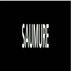 Panneau SAUMURE 222x37mm (20 ADHESIFS Taliaplast 731819