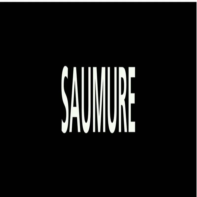 Panneau SAUMURE 222x37mm (20 ADHESIFS Taliaplast 731819