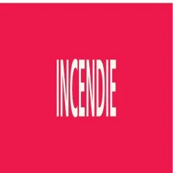 Panneau INCENDIE 156X26 MARQUAGE TUYAU Taliaplast 732401