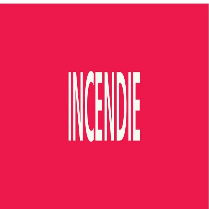 Panneau INCENDIE 156X26 MARQUAGE TUYAU Taliaplast 732401