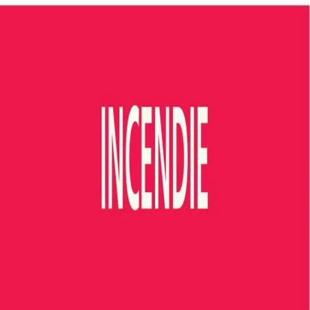 Panneau INCENDIE 156X26 MARQUAGE TUYAU Taliaplast 732401