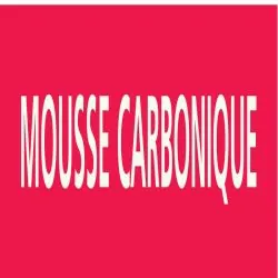 Panneau MOUSSE CARBONIQUE 156X26 MARQU Taliaplast 732406