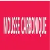 Panneau MOUSSE CARBONIQUE 156X26 MARQU Taliaplast 732406