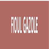 Panneau FIOUL GAZOLE 156X26 MARQUAGE T Taliaplast 732612