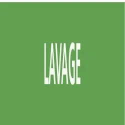 Panneau LAVAGE 156x26mm (20 ADHESIFS P Taliaplast 732803