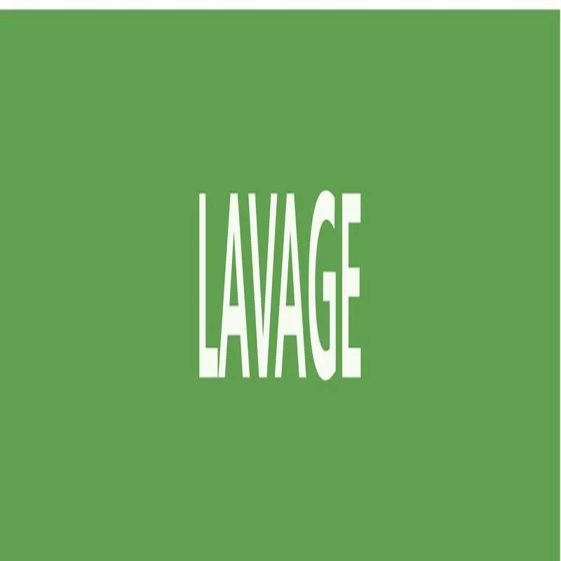 Panneau LAVAGE 156x26mm (20 ADHESIFS P Taliaplast 732803