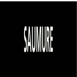 Panneau SAUMURE 156x26mm (20 ADHESIFS Taliaplast 732819