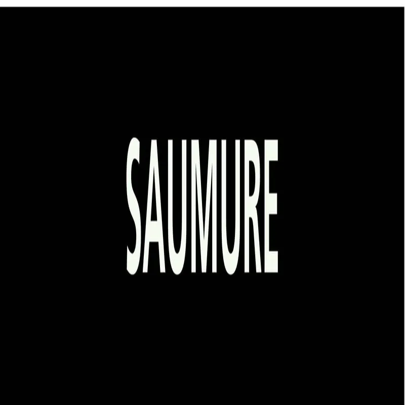 Panneau SAUMURE 156x26mm (20 ADHESIFS Taliaplast 732819