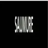 Panneau SAUMURE 156x26mm (20 ADHESIFS Taliaplast 732819