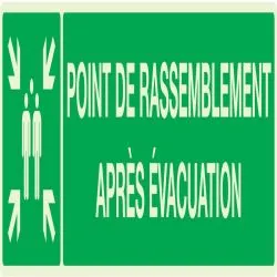 Panneau POINT RASSEMBL.APRES EVACUATI. Taliaplast 635408