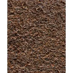 69903116010
