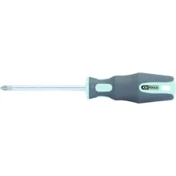 Tournevis INOX POZIDRIV® . PZ2 - L.100 mm KSTOOLS 153.1041 | 153.1041