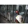 MILWAUKEE LASER 2 LIGNES AVEC APPLOMB 12 VOLTS M12 CLLP-0C