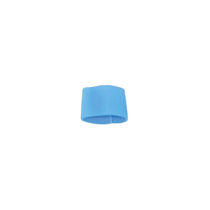 Filtre bleu pour aspirateur 166.0505 . 166 .0510 KSTOOLS 166.0569 | 166.0569 Filtre bleu pour aspirateur 166.0505 . 166 .0510 KSTOOLS 166.0569 | 166.0569