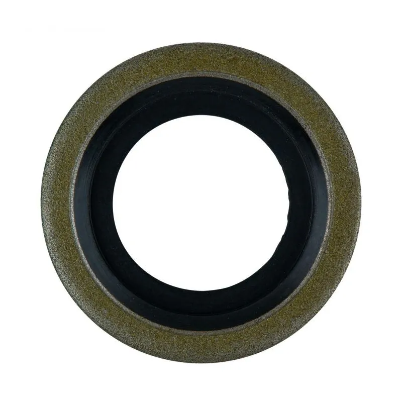 Bagues d'étanchéité 24 x 16 x 2 .0 mm . 10 pièces pour Dacia/Nissan KSTOOLS 430.1524 | 430.1524 Bagues d'étanchéité 24 x 16 x 2 .0 mm . 10 pièces pour Dacia/Nissan KSTOOLS 430.1524 | 430.1524