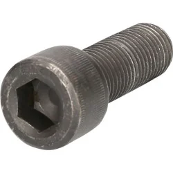 Vis M22 x 60 mm KSTOOLS 440.0366 | 440.0366