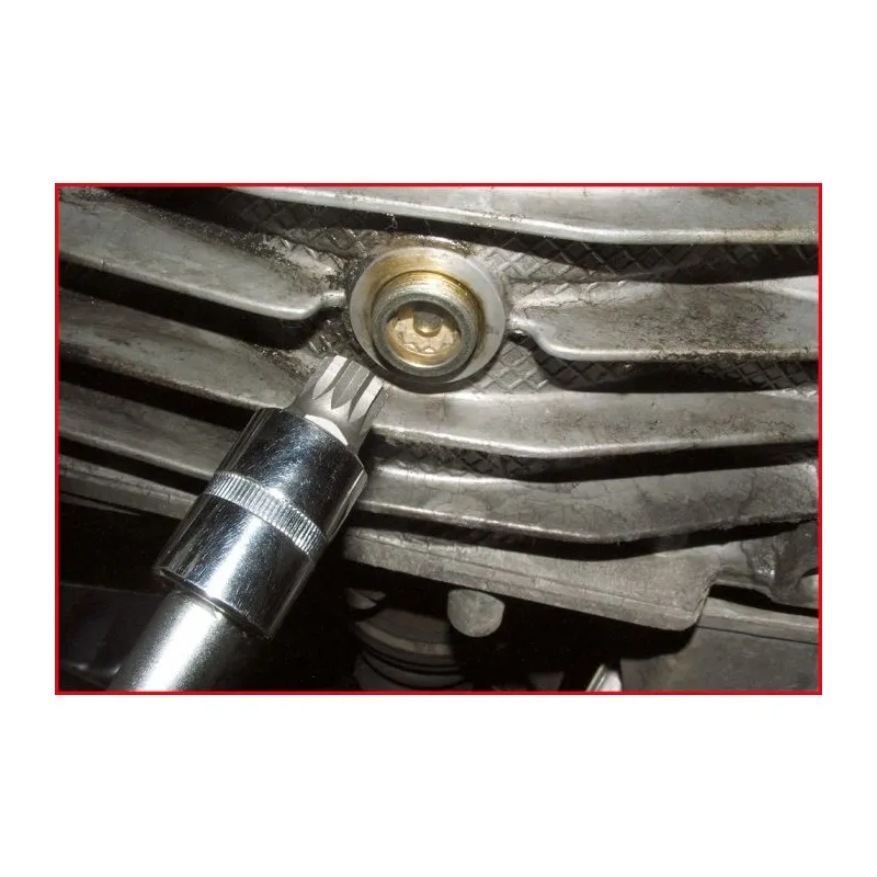Douille tournevis 1/2" XZN percé M16 . L.55mm KSTOOLS 911.1348 | 911.1348 Douille tournevis 1/2" XZN percé M16 . L.55mm KSTOOLS 911.1348 | 911.1348