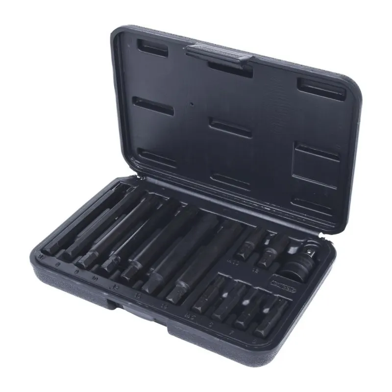 Coffret de 14 embouts à chocs RIBE® . 5/16" KSTOOLS 911.4306 | 911.4306 Coffret de 14 embouts à chocs RIBE® . 5/16" KSTOOLS 911.4306 | 911.4306