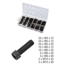 Assortiment de vis 6 pans . 106 pcs KSTOOLS 970.0390 | 970.0390