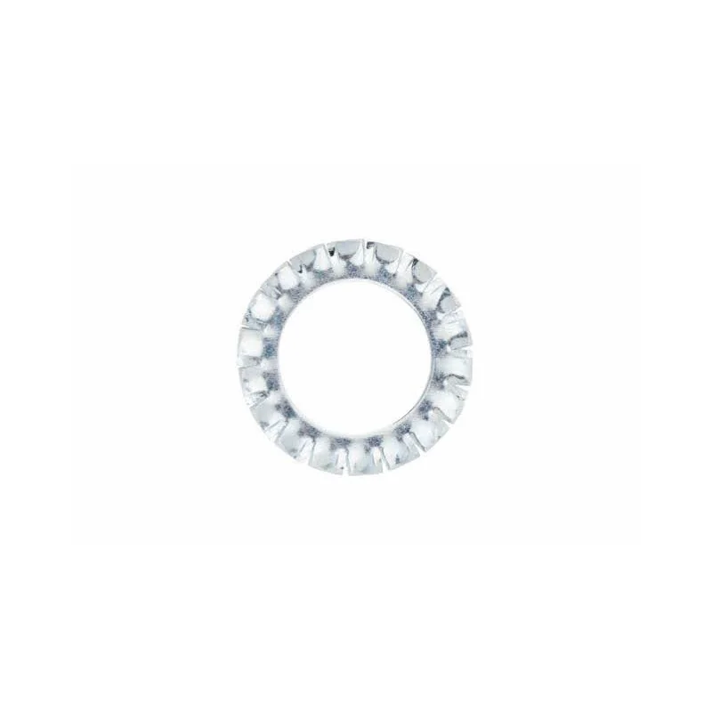 INDEX Brut rondelle éventail à denture extérieure Zingué (M10 250 pièces.) D6798A10 | D6798A10 INDEX Brut rondelle éventail à denture extérieure Zingué (M10 250 pièces.) D6798A10 | D6798A10