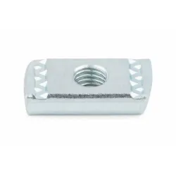 INDEX Accessoires pour profilés Indextrut Écrou guide Indextrut (M10 100 pièces.) TUGX10 | TUGX10