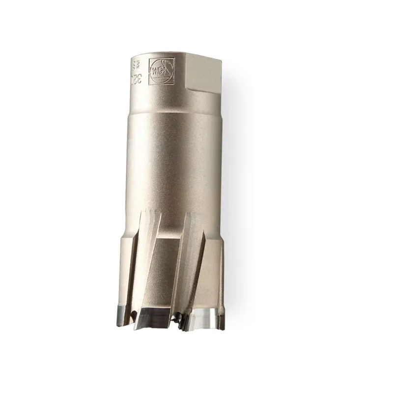 Fraise carbure Ultra 50 avec filetage FEIN M18x6P1.5 - Ø48x50mm Fein | 63127016016 Fraise carbure Ultra 50 avec filetage FEIN M18x6P1.5 - Ø48x50mm Fein | 63127016016