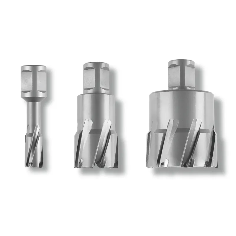 Fraise carbure Ultra 50 Weldon 3/4" - Ø57x50mm Fein | 63127321010 Fraise carbure Ultra 50 Weldon 3/4" - Ø57x50mm Fein | 63127321010