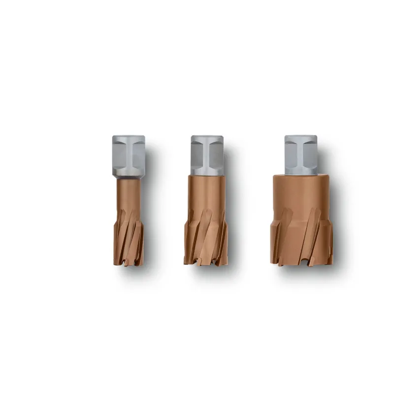 Fraise carbure Ultra Speed 35 Weldon 3/4" - Ø32x35 mm Fein | 63127838017 Fraise carbure Ultra Speed 35 Weldon 3/4" - Ø32x35 mm Fein | 63127838017