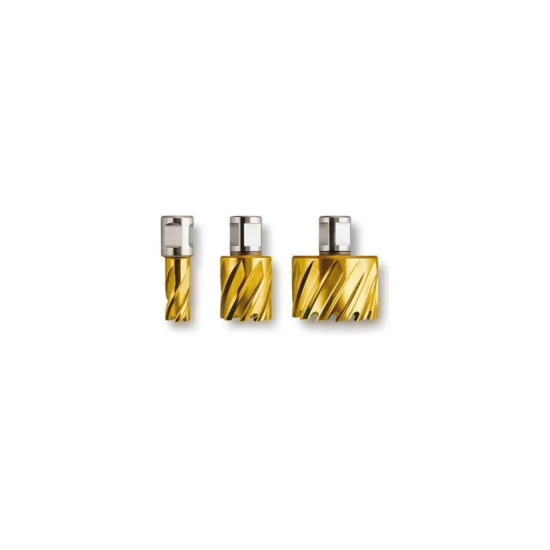 Fraise HSS+TiN Dura 25 Weldon 3/4" - Ø16x25mm Fein | 63134160075