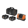 Pack chargeur + 2 batteries 18 V 5,0 Ah HIGH DEMAND SETLL1850SHD AEG POWERTOOLS