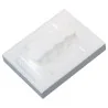 TALOCHE PS EXPANSE 20X15CM FRO Taliaplast 300902 | 300902