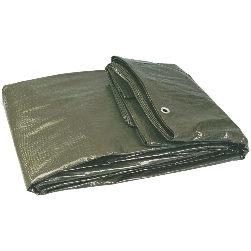 BACHE 2X3M VERTE RENFORCEE Taliaplast 390109 | 390109 BACHE 2X3M VERTE RENFORCEE Taliaplast 390109 | 390109