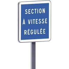 C51A SECTION A VITESSE REGULEE Taliaplast 528224 | 528224