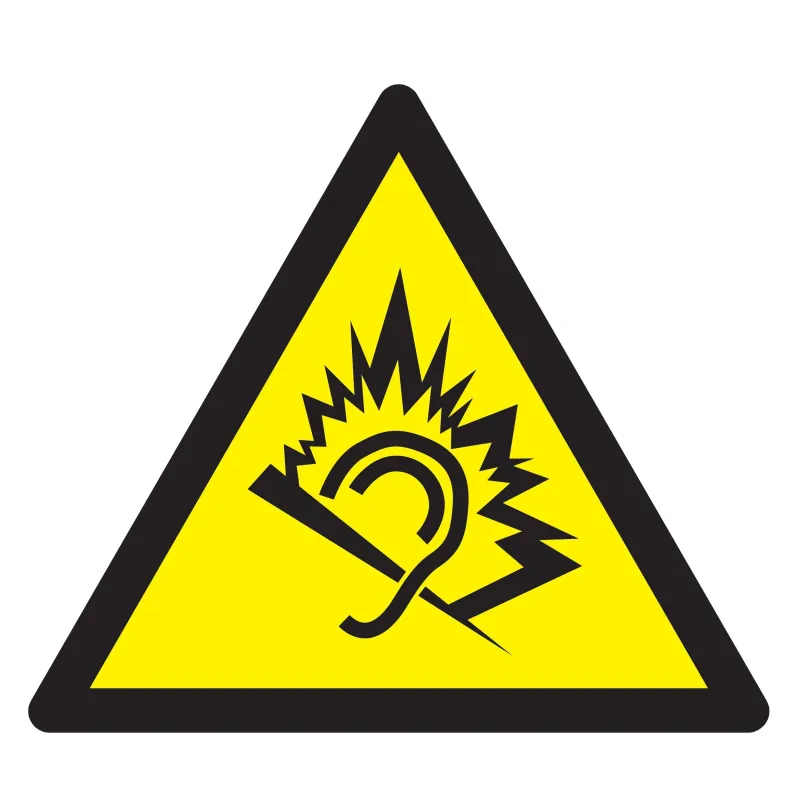 Panneau DANGER DU AU BRUIT NORMASIGN 1 Taliaplast 629917 | 629917 Panneau DANGER DU AU BRUIT NORMASIGN 1 Taliaplast 629917 | 629917