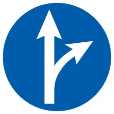 Panneau SORTIE SUR LA DROITE D.300 NOR Taliaplast 622583 | 622583