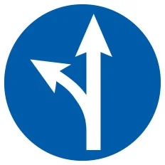 Panneau SORTIE SUR LA GAUCHE NORMASIGN Taliaplast 627582 | 627582