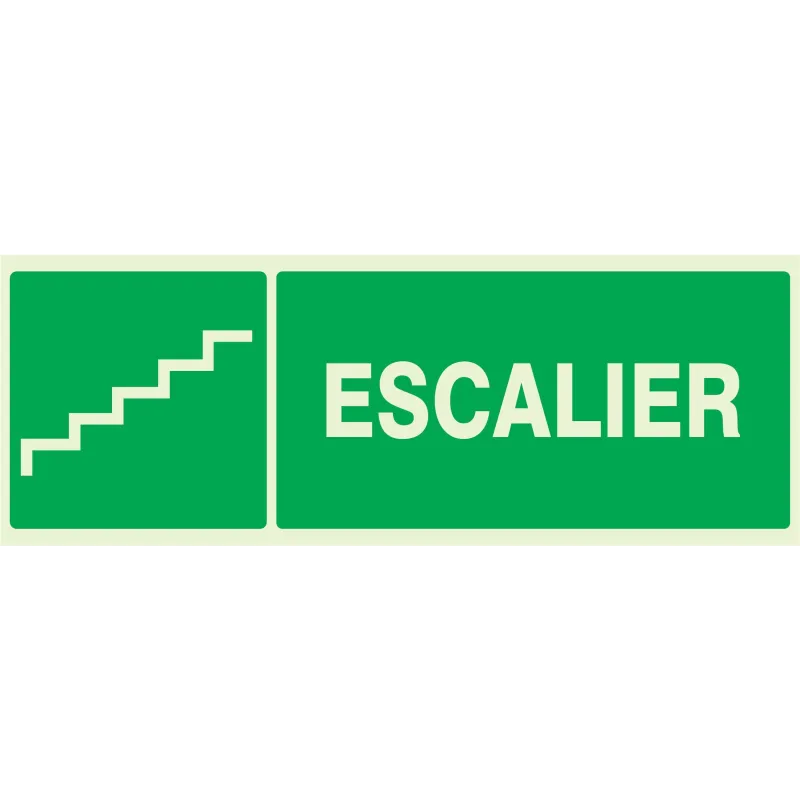 Panneau ESCALIER NORMASIGN LUMINESCENT Taliaplast 636422 | 636422 Panneau ESCALIER NORMASIGN LUMINESCENT Taliaplast 636422 | 636422