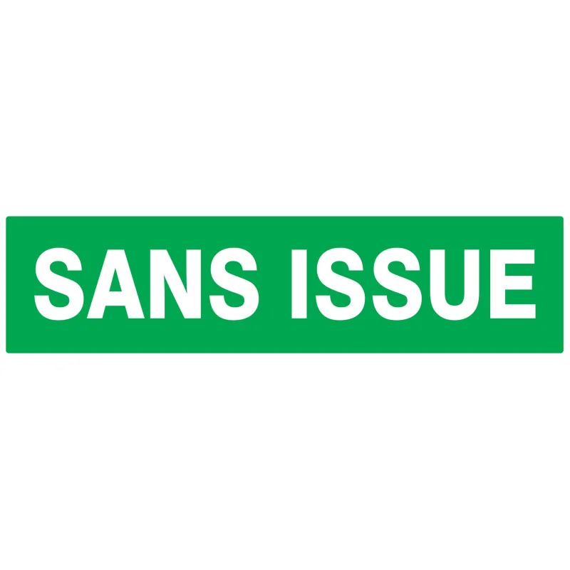 Panneau SANS ISSUE (SECOURS) 200X52 NO Taliaplast 620416 | 620416 Panneau SANS ISSUE (SECOURS) 200X52 NO Taliaplast 620416 | 620416