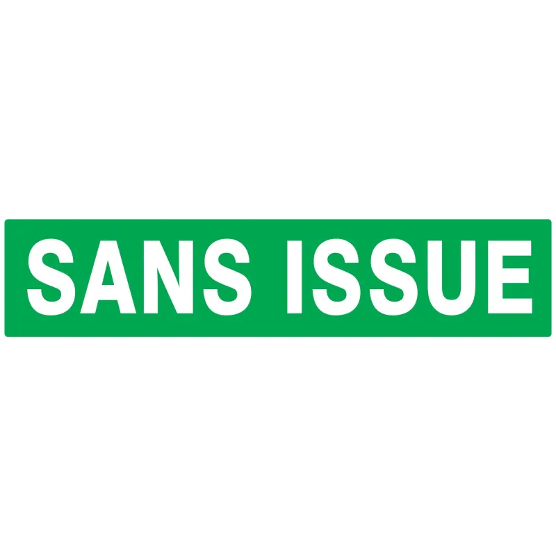 Panneau SANS ISSUE (SECOURS) NORMASIGN Taliaplast 625416 | 625416 Panneau SANS ISSUE (SECOURS) NORMASIGN Taliaplast 625416 | 625416