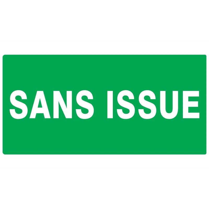 Panneau SANS ISSUE (SECOURS) 330X200 N Taliaplast 621417 | 621417 Panneau SANS ISSUE (SECOURS) 330X200 N Taliaplast 621417 | 621417