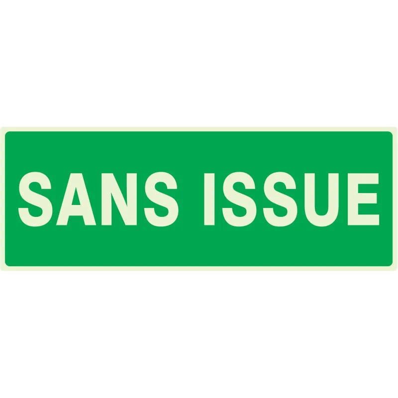 Panneau SANS ISSUE (SECOURS) NORMASIGN Taliaplast 636416 | 636416 Panneau SANS ISSUE (SECOURS) NORMASIGN Taliaplast 636416 | 636416