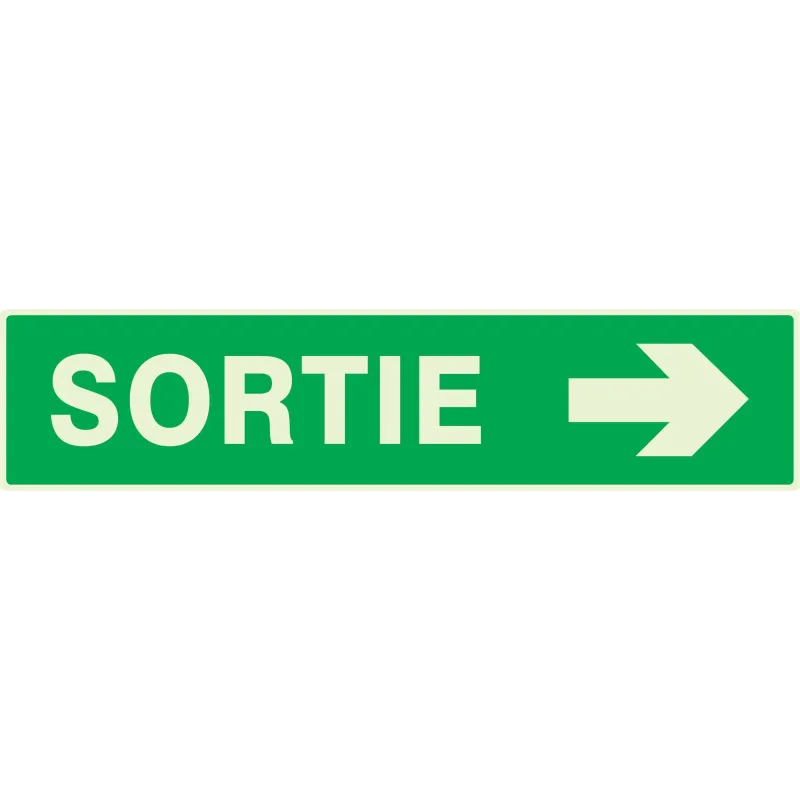 Panneau SORTIE FLECHE A DROITE NORMASI Taliaplast 635417 | 635417 Panneau SORTIE FLECHE A DROITE NORMASI Taliaplast 635417 | 635417