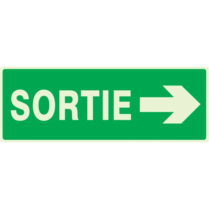 Panneau SORTIE FLECHE A DROITE NORMASI Taliaplast 636417 | 636417 Panneau SORTIE FLECHE A DROITE NORMASI Taliaplast 636417 | 636417