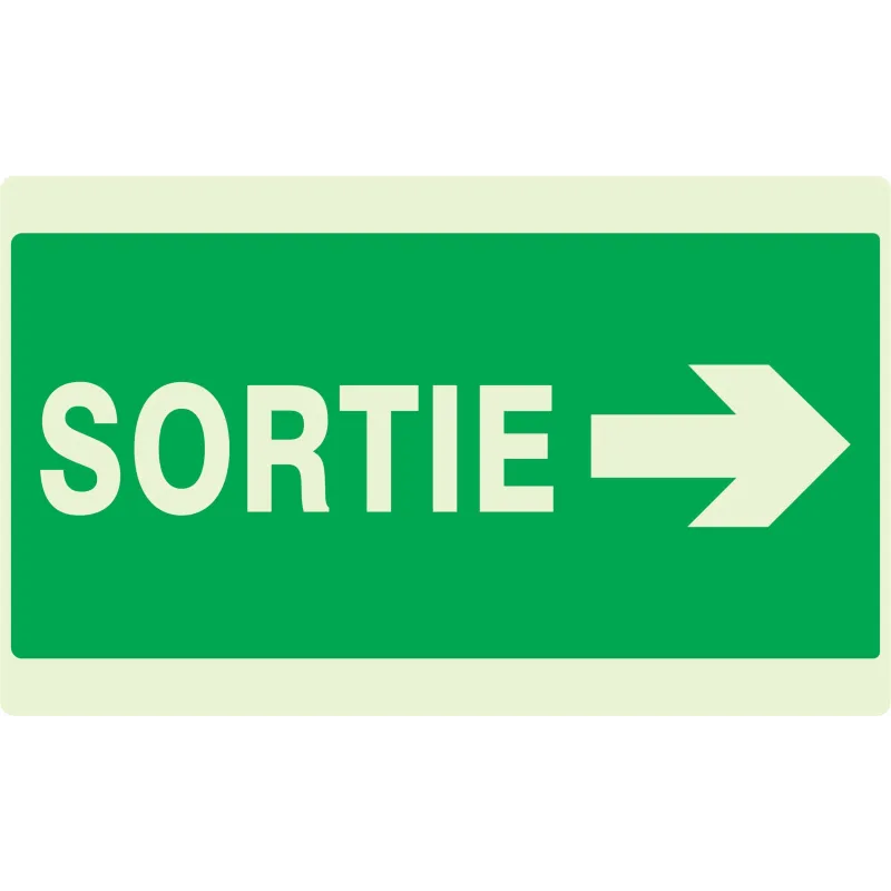 Panneau SORTIE FLECHE A DROITE NORMASI Taliaplast 631417 | 631417 Panneau SORTIE FLECHE A DROITE NORMASI Taliaplast 631417 | 631417