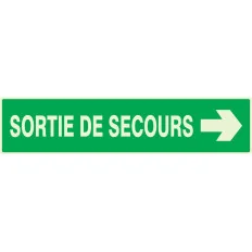 Panneau SORTIE DE SECOURS FLECHE A DRO Taliaplast 635415 | 635415