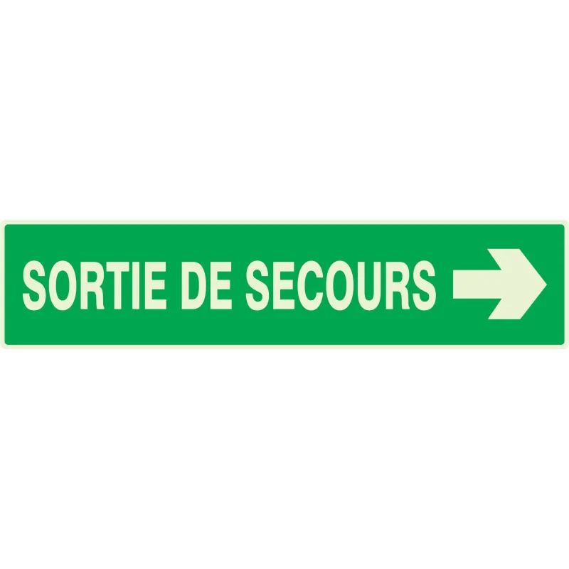 Panneau SORTIE DE SECOURS FLECHE A DRO Taliaplast 635415 | 635415