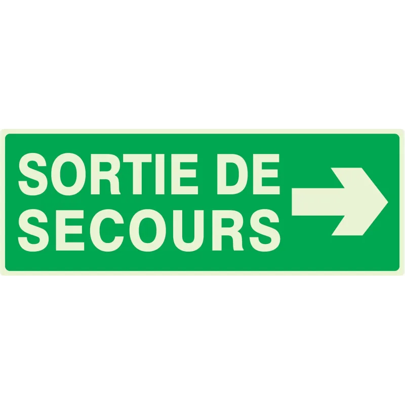 Panneau SORTIE SECOURS A DROITE NORMAS Taliaplast 636415 | 636415 Panneau SORTIE SECOURS A DROITE NORMAS Taliaplast 636415 | 636415