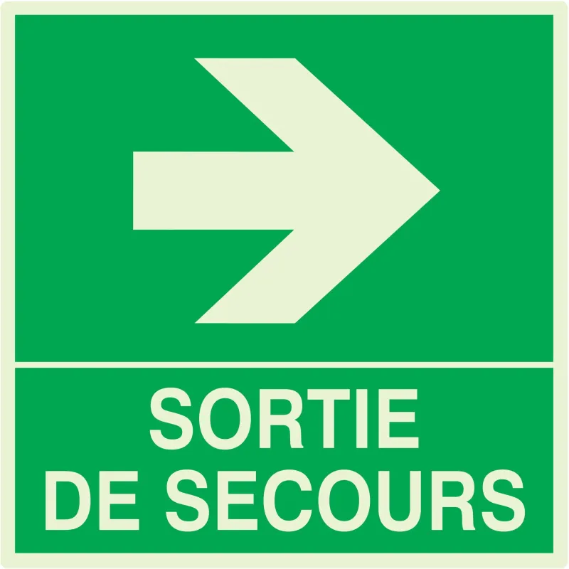 Panneau SORTIE DE SECOURS A DROITE NOR Taliaplast 638409 | 638409